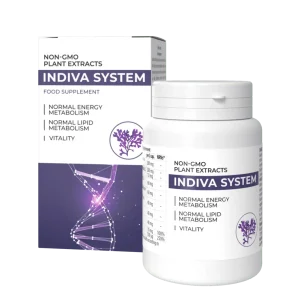 InDiva System